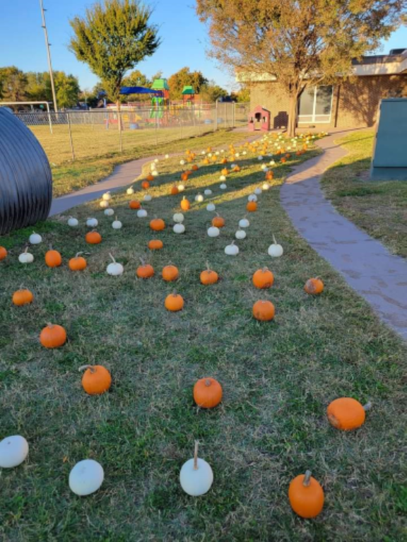 Pumpkin patch in the playground